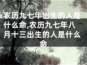 农历九七年出生的人是什么命,农历九七年八月十三出生的人是什么命
