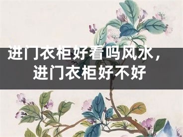 进门衣柜好看吗风水，进门衣柜好不好