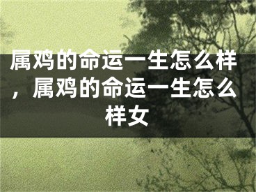 属鸡的命运一生怎么样，属鸡的命运一生怎么样女