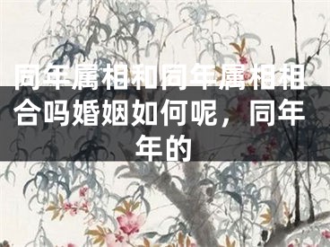 同年属相和同年属相相合吗婚姻如何呢,同年年的