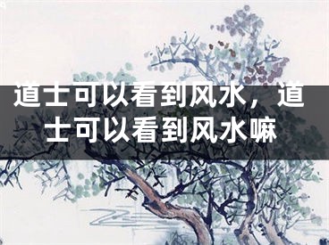 道士可以看到风水,道士可以看到风水嘛