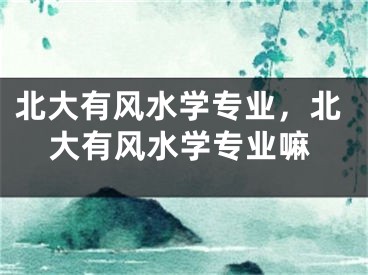 北大有风水学专业，北大有风水学专业嘛