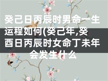 癸己日丙辰时男命一生运程如何(癸己年,癸酉日丙辰时女命丁未年会发生什么