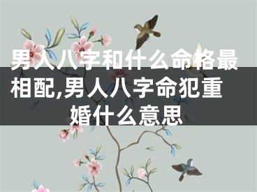 男人八字和什么命格最相配,男人八字命犯重婚什么意思