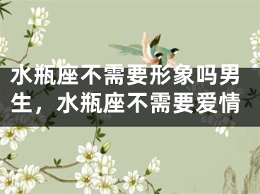 水瓶座不需要形象吗男生,水瓶座不需要爱情