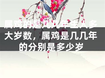 属鸡的是几几年生人多大岁数,属鸡是几几年的分别是多少岁