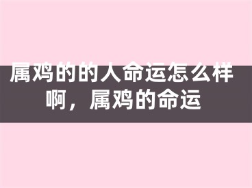 属鸡的的人命运怎么样啊,属鸡的命运