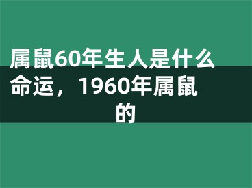 属鼠60年生人是什么命运，1960年属鼠的
