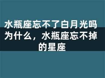 水瓶座忘不了白月光吗为什么，水瓶座忘不掉的星座