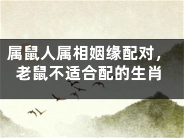 属鼠人属相姻缘配对，老鼠不适合配的生肖
