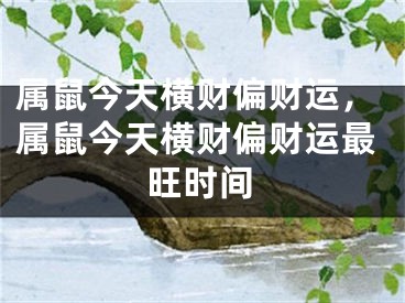 属鼠今天横财偏财运，属鼠今天横财偏财运最旺时间