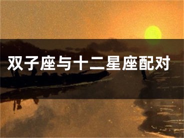 双子座与十二星座配对