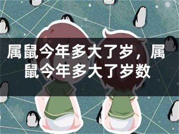 属鼠今年多大了岁，属鼠今年多大了岁数