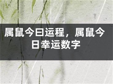 属鼠今曰运程，属鼠今日幸运数字