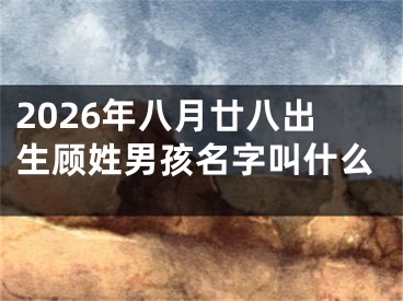2026年八月廿八出生顾姓男孩名字叫什么