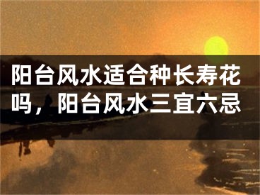 阳台风水适合种长寿花吗,阳台风水三宜六忌