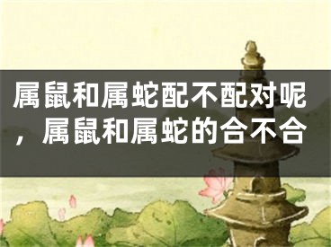 属鼠和属蛇配不配对呢,属鼠和属蛇的合不合
