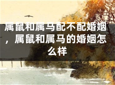 属鼠和属马配不配婚姻,属鼠和属马的婚姻怎么样