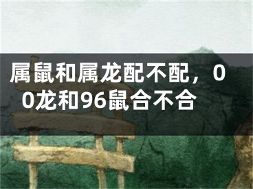 属鼠和属龙配不配,00龙和96鼠合不合