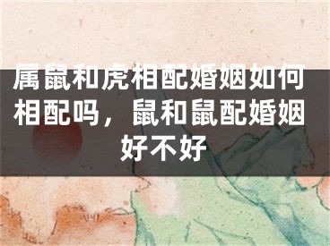 属鼠和虎相配婚姻如何相配吗,鼠和鼠配婚姻好不好