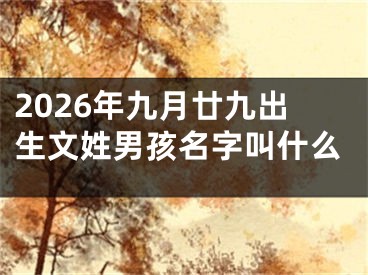 2026年九月廿九出生文姓男孩名字叫什么