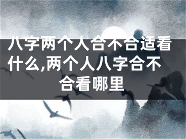 八字两个人合不合适看什么,两个人八字合不合看哪里