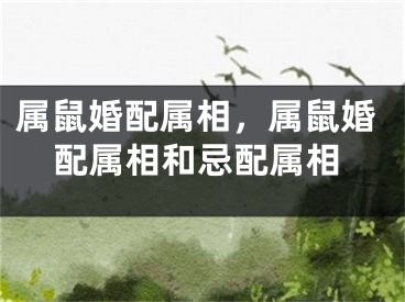 属鼠婚配属相,属鼠婚配属相和忌配属相