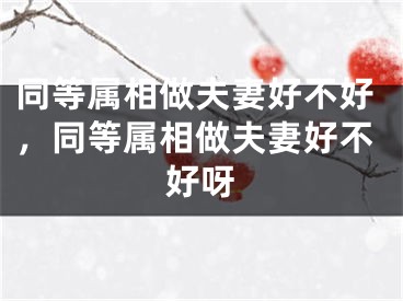 同等属相做夫妻好不好,同等属相做夫妻好不好呀