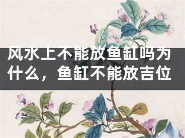 风水上不能放鱼缸吗为什么,鱼缸不能放吉位