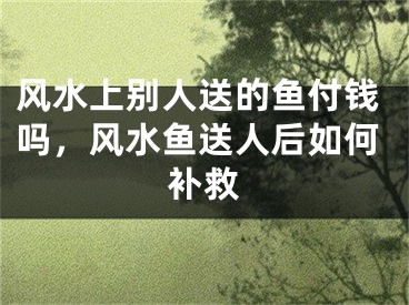 风水上别人送的鱼付钱吗,风水鱼送人后如何补救