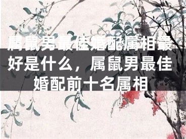 属鼠男最佳婚配属相最好是什么，属鼠男最佳婚配前十名属相