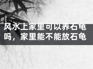风水上家里可以养石龟吗,家里能不能放石龟