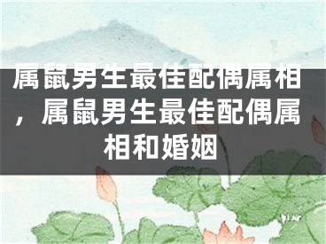 属鼠男生最佳配偶属相，属鼠男生最佳配偶属相和婚姻