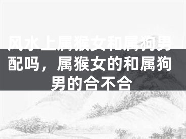风水上属猴女和属狗男配吗,属猴女的和属狗男的合不合