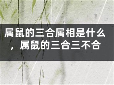 属鼠的三合属相是什么,属鼠的三合三不合