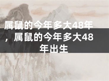 属鼠的今年多大48年,属鼠的今年多大48年出生