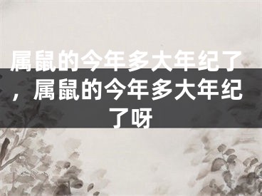 属鼠的今年多大年纪了,属鼠的今年多大年纪了呀