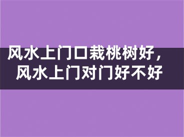 风水上门口栽桃树好,风水上门对门好不好