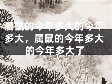 属鼠的今年多大的今年多大，属鼠的今年多大的今年多大了