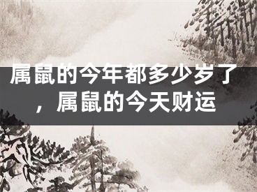 属鼠的今年都多少岁了，属鼠的今天财运