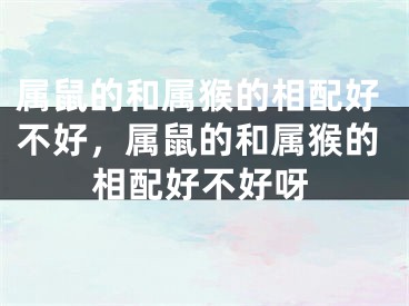 属鼠的和属猴的相配好不好,属鼠的和属猴的相配好不好呀