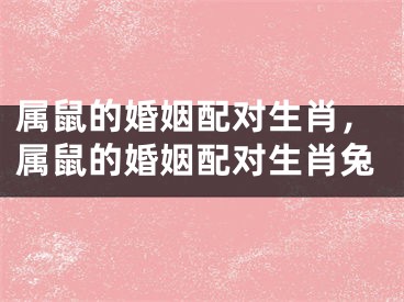 属鼠的婚姻配对生肖,属鼠的婚姻配对生肖兔