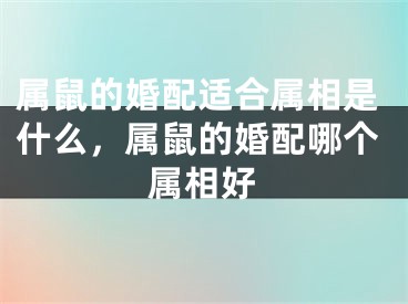 属鼠的婚配适合属相是什么,属鼠的婚配哪个属相好