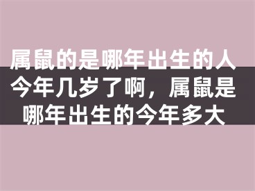 属鼠的是哪年出生的人今年几岁了啊,属鼠是哪年出生的今年多大