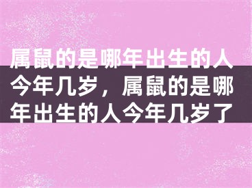 属鼠的是哪年出生的人今年几岁,属鼠的是哪年出生的人今年几岁了