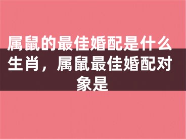 属鼠的最佳婚配是什么生肖,属鼠最佳婚配对象是