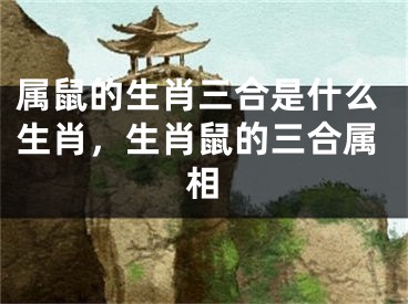 属鼠的生肖三合是什么生肖,生肖鼠的三合属相