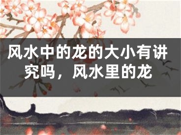风水中的龙的大小有讲究吗，风水里的龙