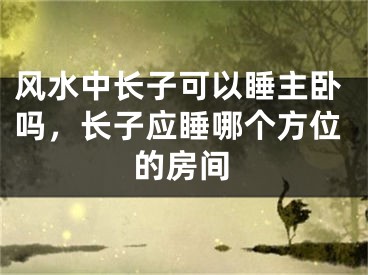 风水中长子可以睡主卧吗,长子应睡哪个方位的房间