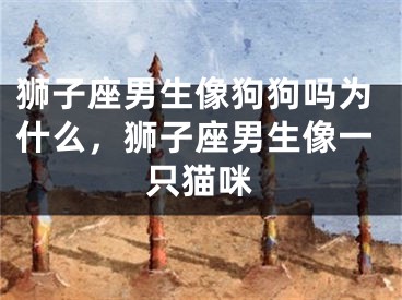 狮子座男生像狗狗吗为什么,狮子座男生像一只猫咪